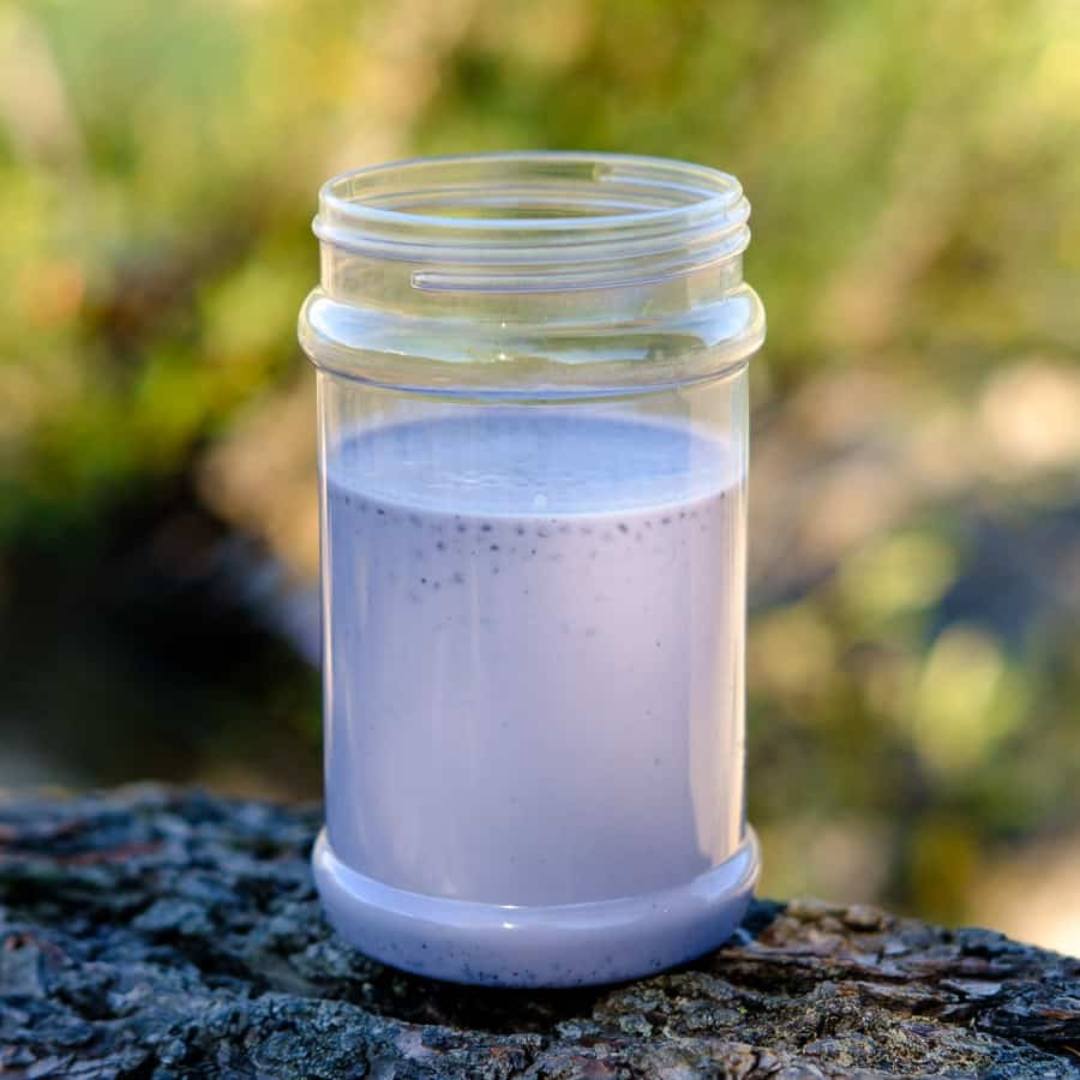Backcountry Foodie - Blueberry Oat Smoothie